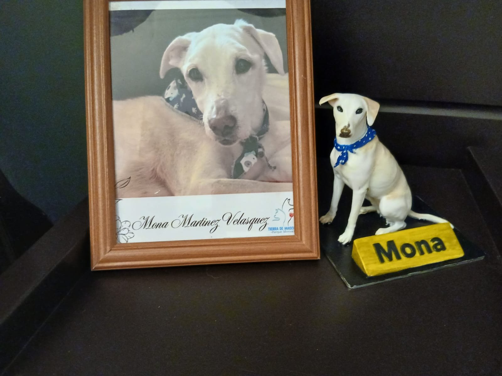 mascotas personalizadas mascotas personalizadas