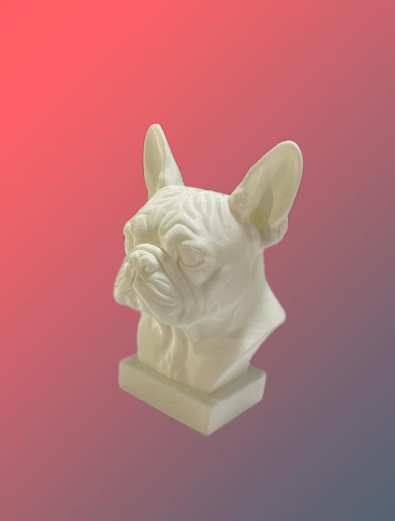 mascotas personalizadas