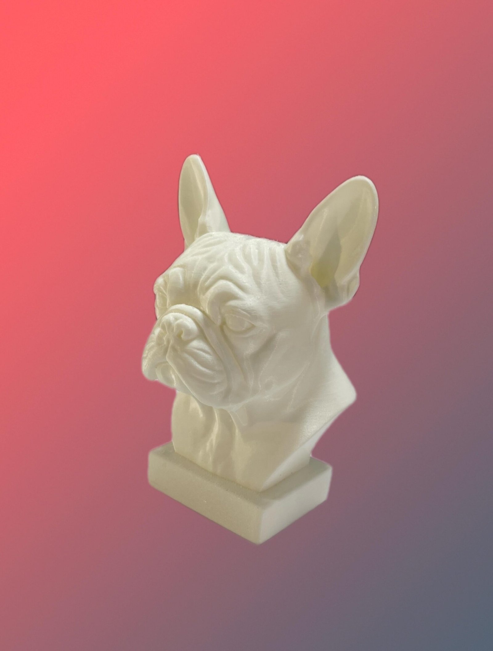 mascotas personalizadas mascotas personalizadas