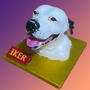 mascotas personalizadas